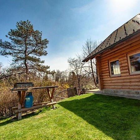 Log House Natura Radovljica Bagian luar foto